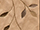 Cecile Embroidered Polyester