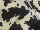 Fabric Color: Black Cow