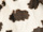 Fabric Color: Brown Cow