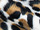 Fabric Color: Snow Leopard
