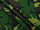 Army Camouflage Cordura Waterproof 