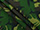 Fabric Color: Amazon Camo