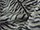 Fabric Color: Grey Tiger