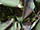 Fabric Color: Army Camo Print