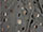 Elastane Stretch Foil Spots
