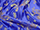 Chinese Dragon Brocade