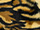 Fabric Color: Tiger