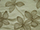 Carnival Collection (Pampas)