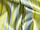 Fabric Color: Lemon