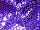 Fabric Color: Purple (03)
