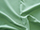 Fabric Color: Light Green (10)