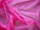 Chiffon Wide