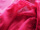 Chiffon Wide
