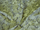 Elba Curtain Fabric
