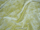 Elba Curtain Fabric