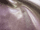 Cobra Fire Retardant upholstery fabric