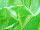 Fire Retardant Display Fabric