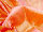 Fabric Color: Orange(021C)