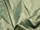 Silk Fabric - Dupion - Luxurious material 100% silk yarn