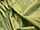 Silk Fabric - Dupion - Luxurious material 100% silk yarn