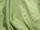 Fabric Color: Sage