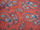 Cotton Lawn - Paisley Design