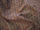 Dumfries Curtain Fabric