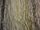 Azura Curtain Fabric