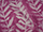 Fabric Color: Orchid