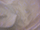 Clearance Jacquard/Brocades
