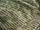 Clearance Jacquard/Brocades
