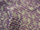 Clearance Jacquard/Brocades
