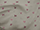 Clearance Jacquard/Brocades
