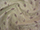 Clearance Jacquard/Brocades