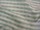 Clearance Jacquard/Brocades