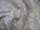 Clearance Jacquard/Brocades