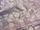 Clearance Jacquard/Brocades