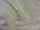 Clearance Jacquard/Brocades