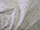 Clearance Jacquard/Brocades
