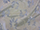 Clearance Jacquard/Brocades