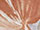Barcelona Curtain Fabric