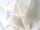 China Pure Silk Habotai