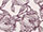 Cecily Curtain Fabric
