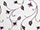 Fenella Curtain Fabric