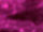 Bling Crushed  Velvet Upholstery Fire Retardant