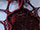 Corded Lace