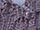 Corded Lace