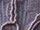 Corded Lace