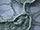 Corded Lace