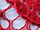 Corded Lace